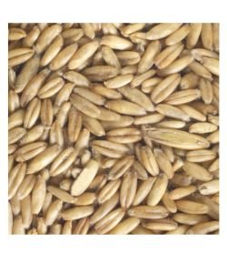Seeds germinate - Oatmeal BIO, 200 g